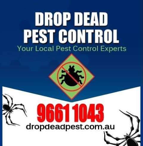 Photo: Drop Dead Pest Control Eastern Suburbs